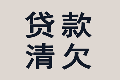 无力偿还债务，法院如何高效解决？